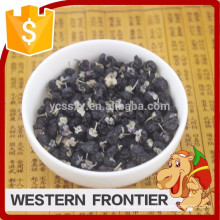 China QingHai de qualité supérieure à bas prix Black goji berry